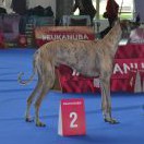 Champion class_Bakari El Guerrouj - V2, res.CAC