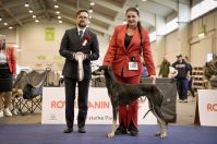 Sloughi - AlFaar Origen Charm Sloughi - AlFaar Origen Charm