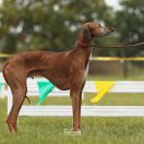 Tamidda of Silverdale Tamidda of Silverdale