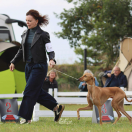 Quokka Tigidit Quokka Tigidit