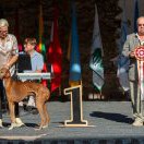 Tamidda of Silverdale Tamidda of Silverdale