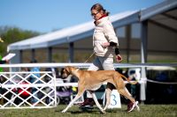 Ahimana Illy Ahimana Illy