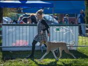 Ahimana Illy Ahimana Illy