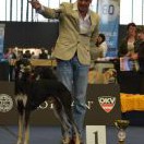 Padash Schuru-esch-Schams - V1, CACA, CACIB, World Winner, BOB