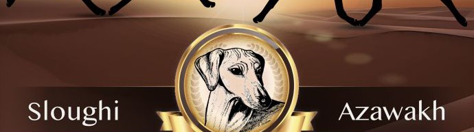 Klubová výstava 2026, Chržín - Club Show 2026, Chržín