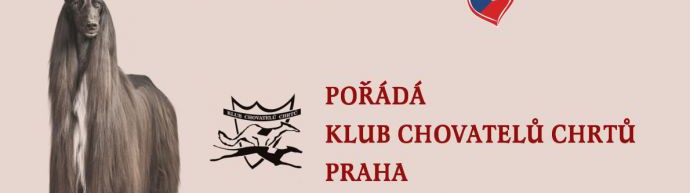 STŘEDOEVROPSKÁ VÝSTAVA CHRTŮ - 2023, Konopiště